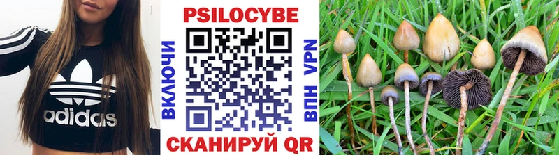 Псилоцибиновые грибы Psilocybe  Краснокамск 
